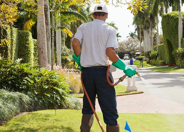 About Payson AZ Pest Control